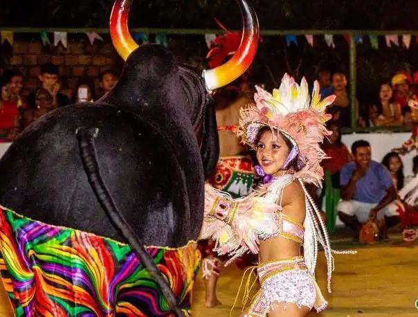 imagem durante apresentação